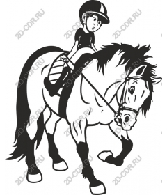 Young rider on a pony