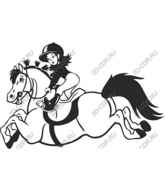 Rider on a horse, galloping