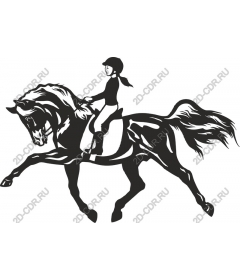 The horsemanship: the rider and the horse