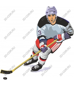 Dynamic hockey player