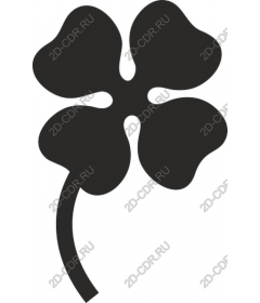  Four leaf clover