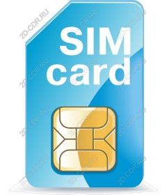 SIM card