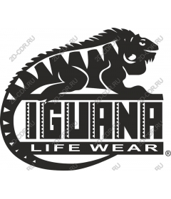  Clothing Iguana Life