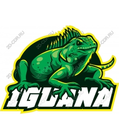 Iguana