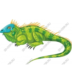  Bright lizard