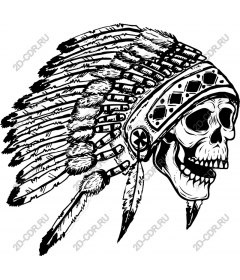  The skull of the leader of the native spirit