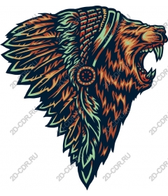  Ferocious lion head — headdress of native Americans