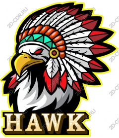 The leader of the Indian tribe hawks
