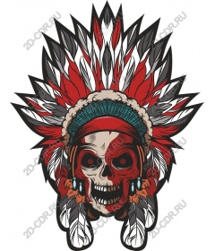 Working with skull Native Spirit