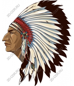 Headdress with feathers Indian chief