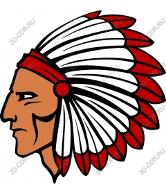  Cultural Pride: a Native American chief