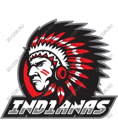 Indian chief