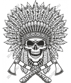 The spirit of a rebel: the Skull of a native American