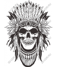 Headdress American Indian Skull