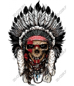 Magnificent skull with feather headdress