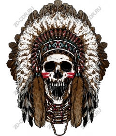  Cultural art skull with feathered headdress