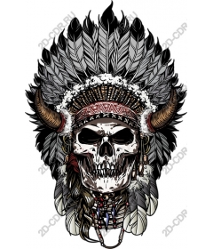 Headdress in the shape of a skull native American