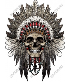 Headdress in the shape of a skull native American