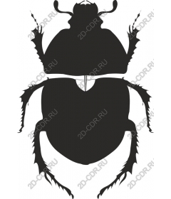 Stylized beetle