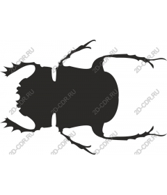  Stylized beetle
