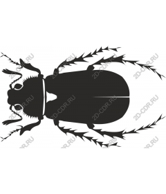  Stylized beetle