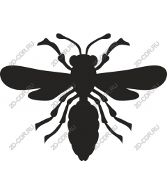  Detailed bee - Elegant