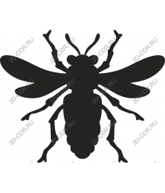  Bee