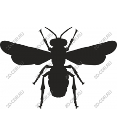 Bee Clipart