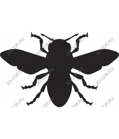  Bee