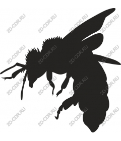  Bee