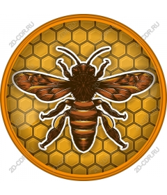  Buzzing bee