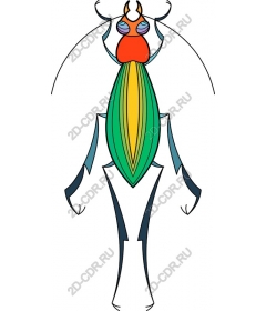  Bright insect