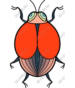  Bright beetle