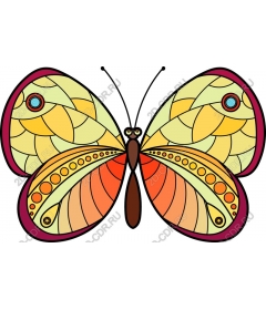  Bright butterfly