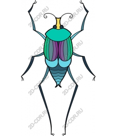  Bright whimsical insect