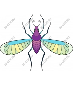 Whimsical colorful insect