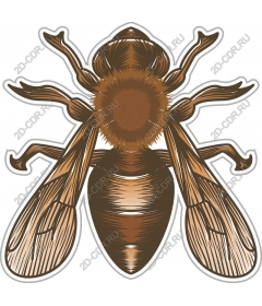 Vintage honey bee