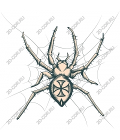 Intricately outlined spider