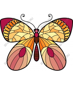  Bright butterfly