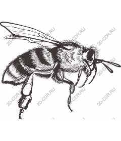 Vintage bee