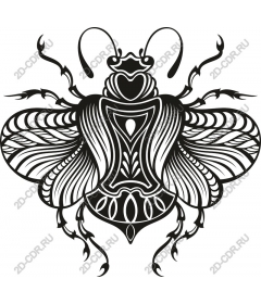  Exquisite bee