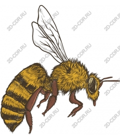  Awesome honey bee