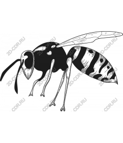  Stylized OSA