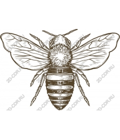 Vintage bee