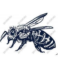  Sophisticated bee