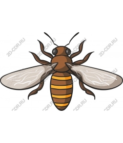  Bee - high-Quality graphics