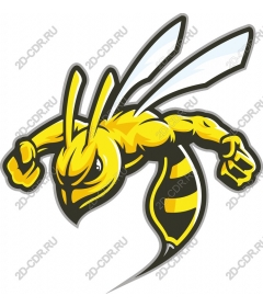  Fierce yellow hornet