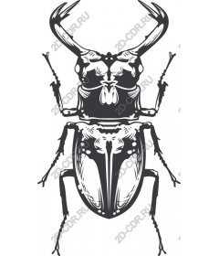  Stylized beetle