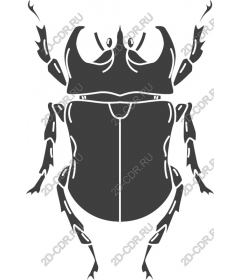 Premium Beetle