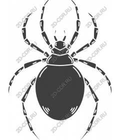  Premium Spider
